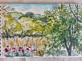 Field of Flowers, St Eulalie d’Ans, Dordogne, France