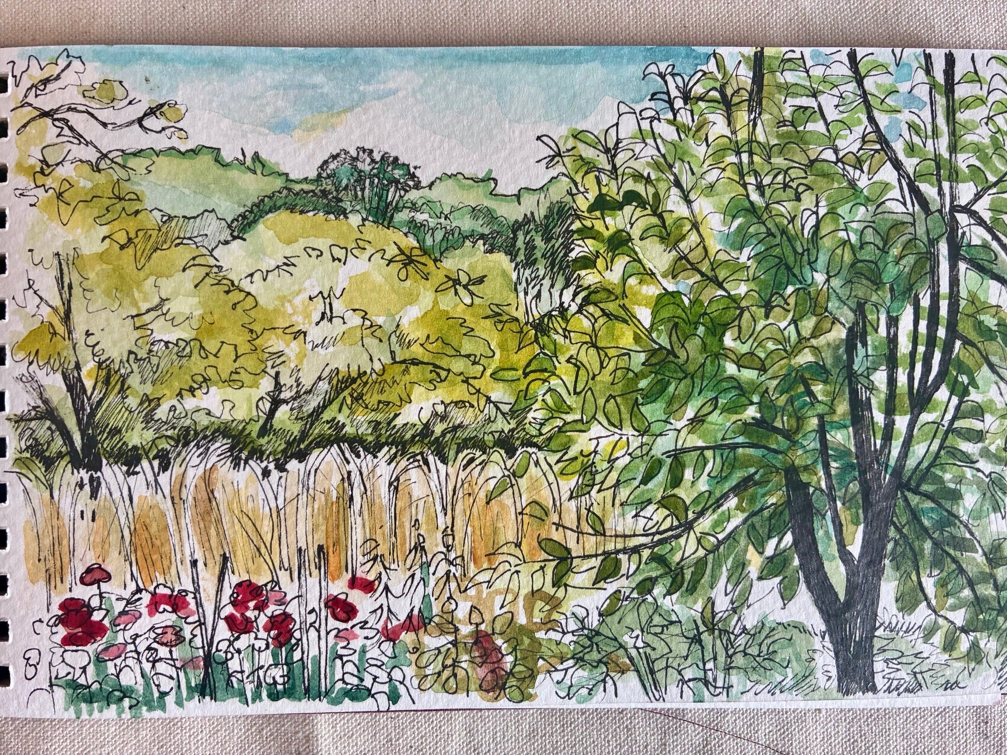 Field of Flowers, St Eulalie d’Ans, Dordogne, France