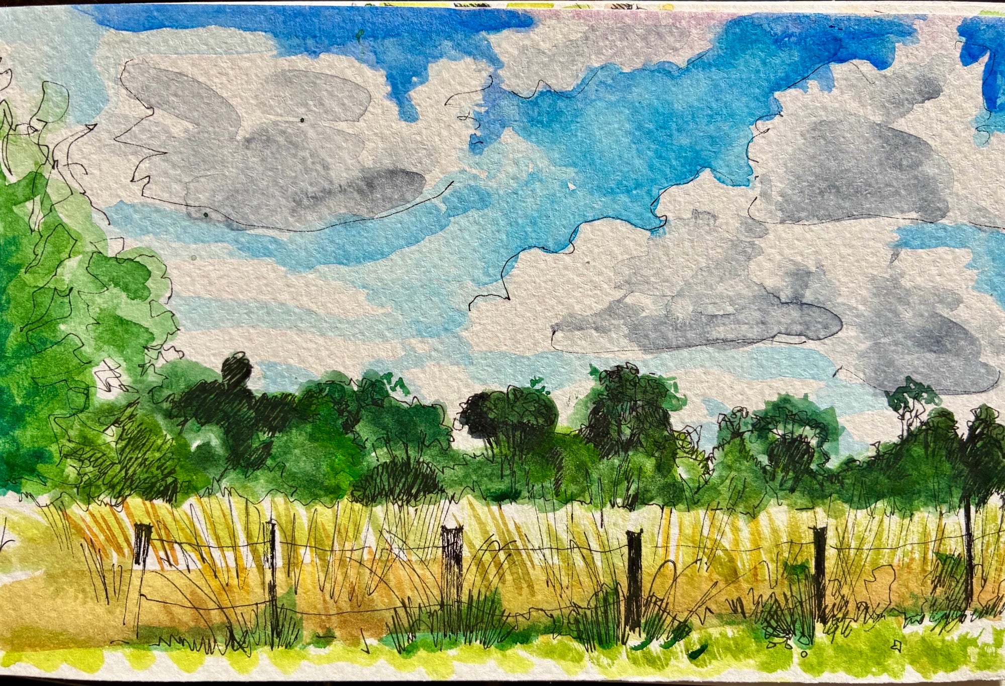 Fields near St Pierre-de-Côle, Dordogne, France