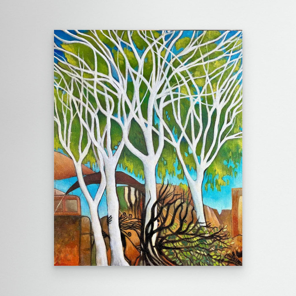 Ghost gum trees at Uluru